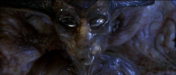 Fotó: mozitekercs.blog.hu