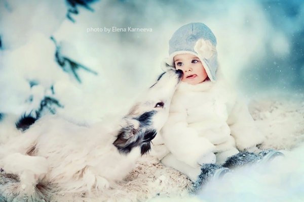 animal-children-photography-elena-karneeva-142__880