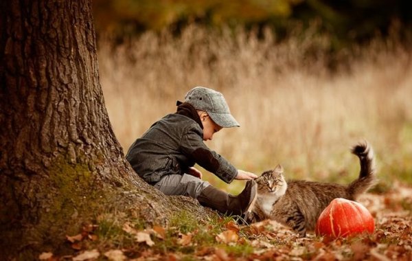 beae04205501e6a7587d22de64ff5266