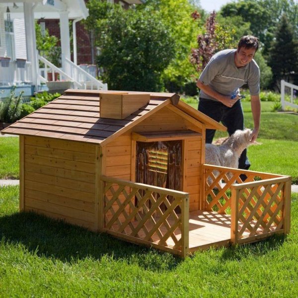 12191397_808575579297699_1256179832314352377_n