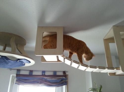 Fotó: homes.yahoo.com