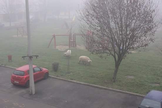 Fotó: Sóvágó Imre