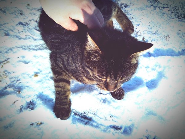 eyeemfiltered1453460192849