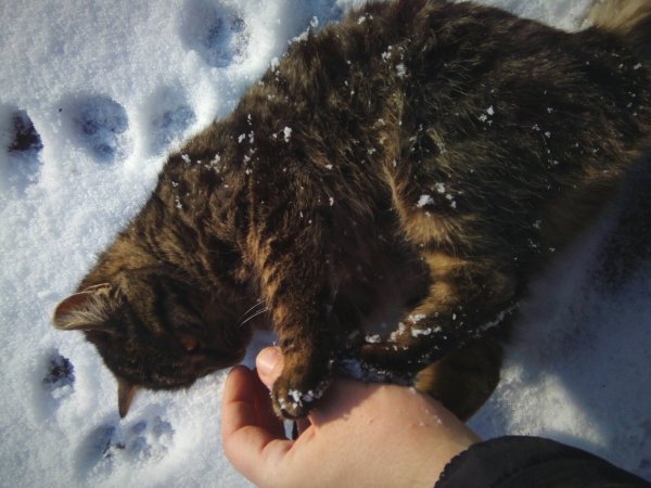 eyeemfiltered1453460261675