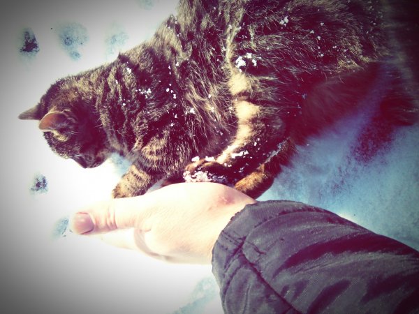 eyeemfiltered1453460334064