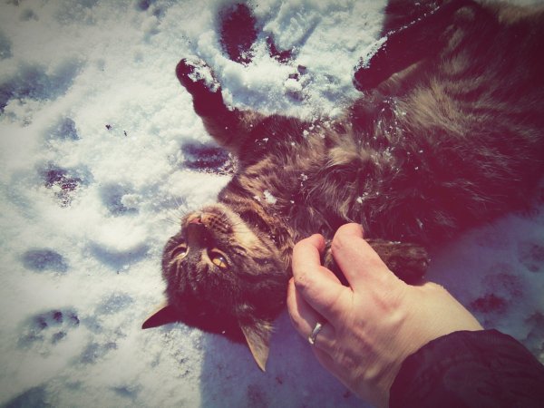 eyeemfiltered1453460403699