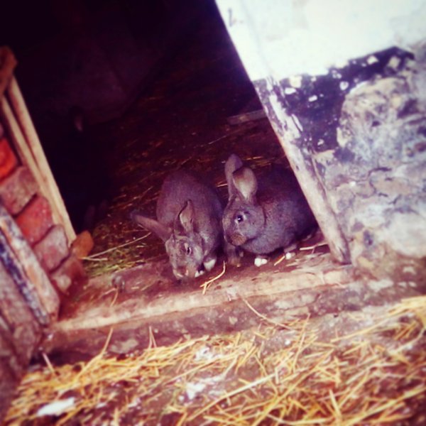 eyeemfiltered1454851238818