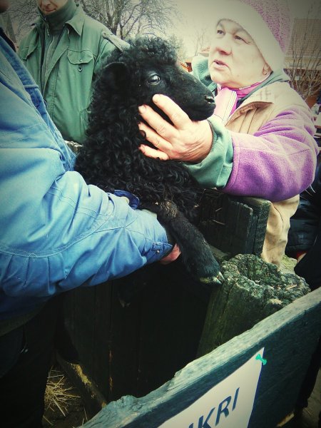 eyeemfiltered1454851580233