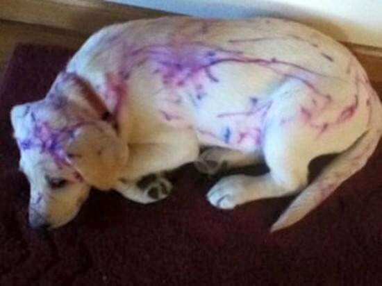 FB_IMG_1458003645240