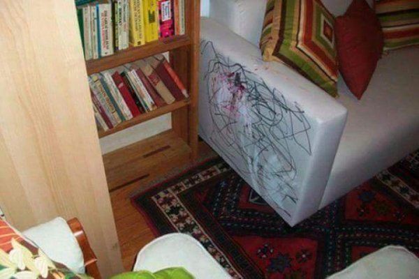 FB_IMG_1458003701302