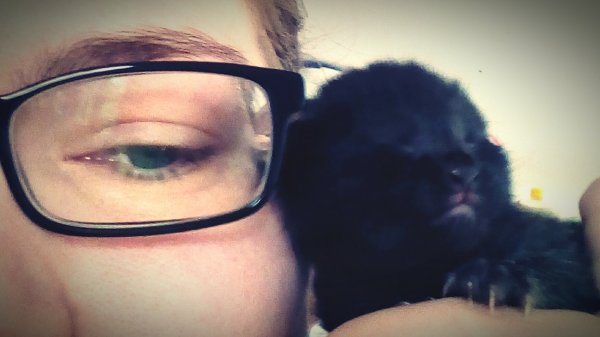 eyeemfiltered1458037123204