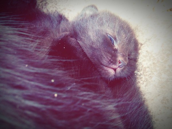 eyeemfiltered1458427384322