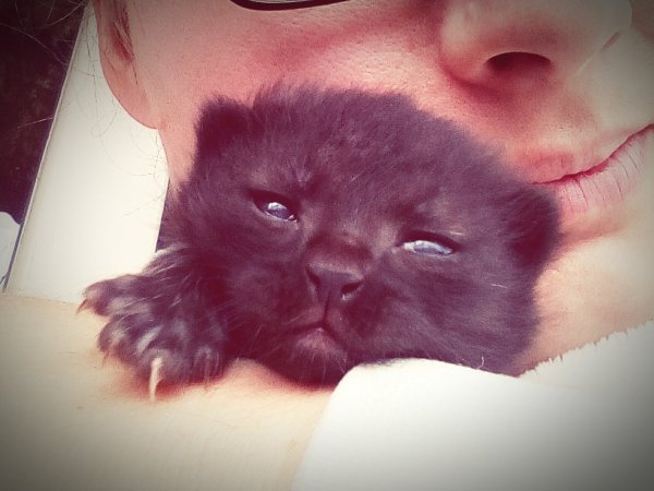 eyeemfiltered1458427628324