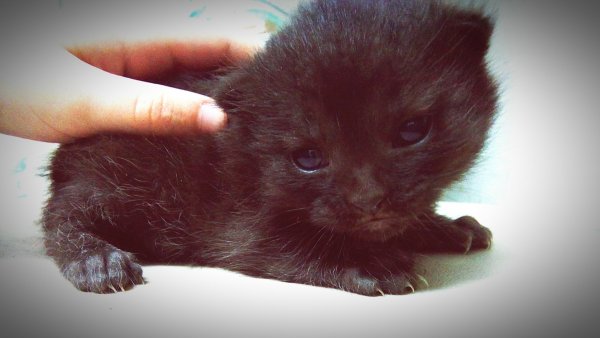 eyeemfiltered1458500550175