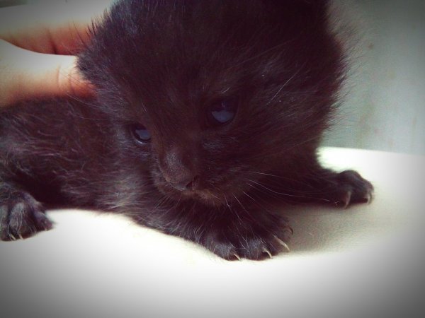 eyeemfiltered1458500734904