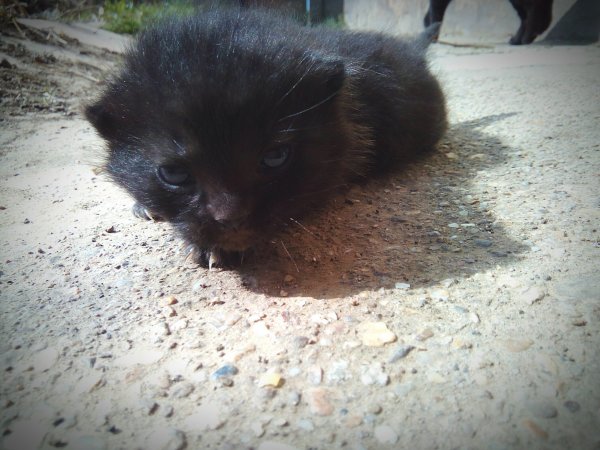 eyeemfiltered1458554818488