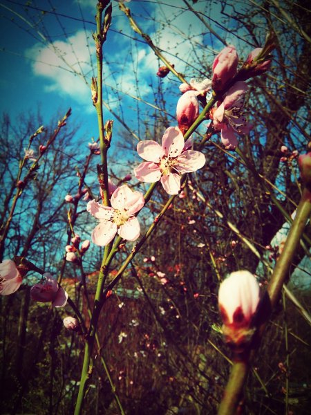 eyeemfiltered1459544168195