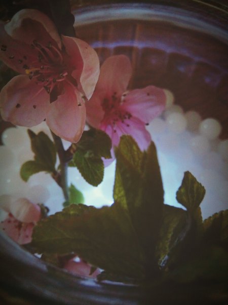 eyeemfiltered1459680601038