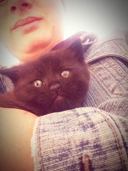 eyeemfiltered1459923979498