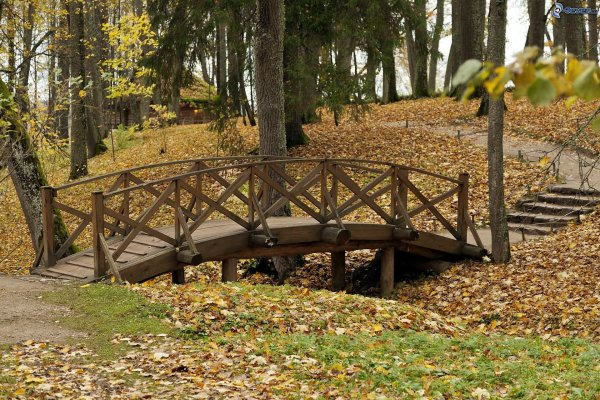 Fotó: obrazky.4ever.sk 