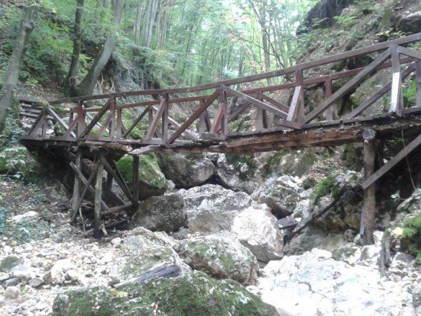 Fotó: termeszetjaro.hu