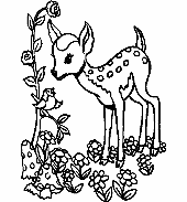 306hu_um_waldtier004_