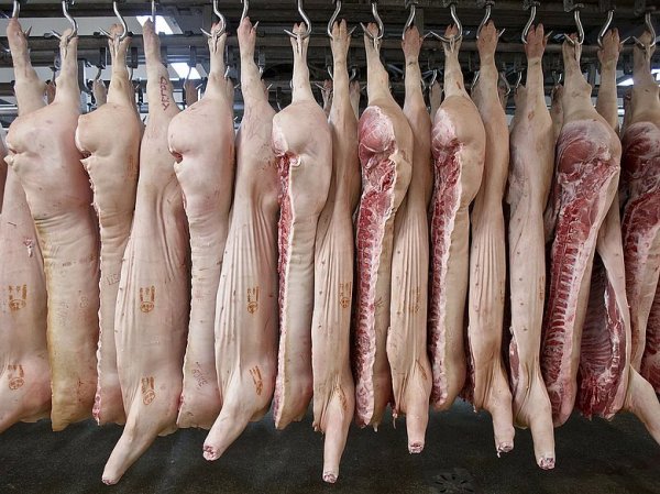 A kép csak illusztráció! Fotó: napi.hu